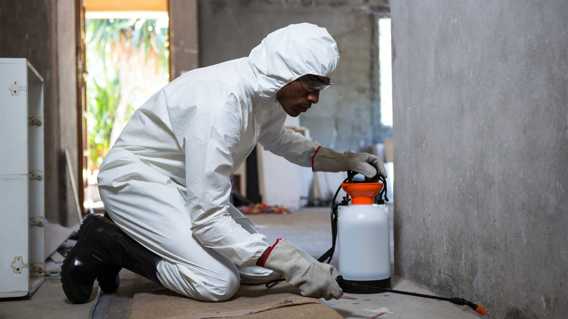 Effective Pest Control and Fumigation Treatment in VGC, Lekki, Ajah, Ikota, Orchid Road, Badore, Chevron, Osapa London, Ikate, Ikoyi, VI, Abraham Adesanya, and Sangotedo, Lagos State.