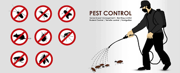 Effective Pest Control and Fumigation Treatment in VGC, Lekki, Ajah, Ikota, Orchid Road, Badore, Chevron, Osapa London, Ikate, Ikoyi, VI, Abraham Adesanya, and Sangotedo, Lagos State.