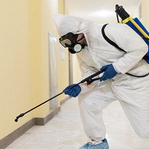 Professional fumigation services in Lagos for homes and offices in Lekki, Ajah, Ikoyi, Victoria Island and Ikeja by Chizykleen pest control company